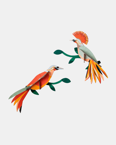 Studio Roof Wall Art B5 / Paradise Birds