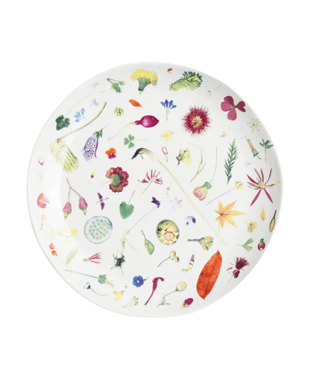 Angus & Celeste Porcelain Dinner Plate