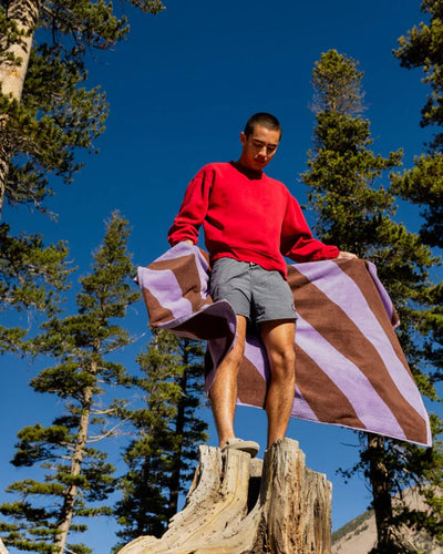 Hommey Beach Towel
