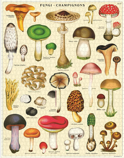Vintage Puzzle / 1000 Piece