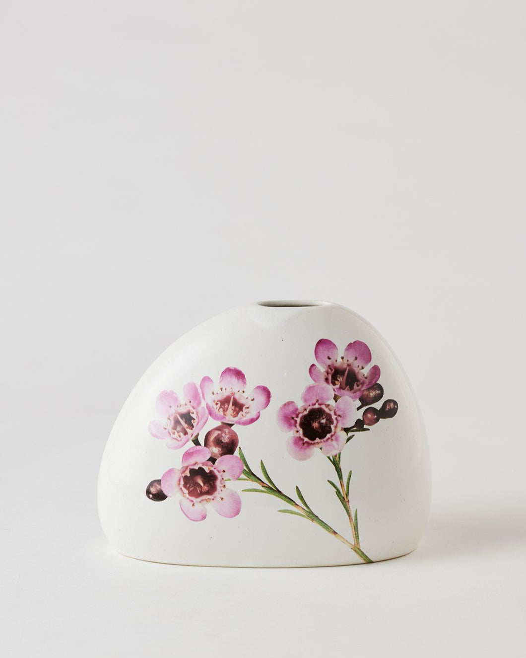 Angus & Celeste Macro Botanics Vase