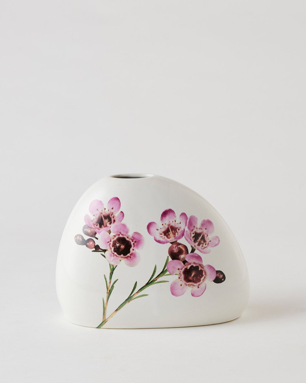 Angus & Celeste Macro Botanics Vase