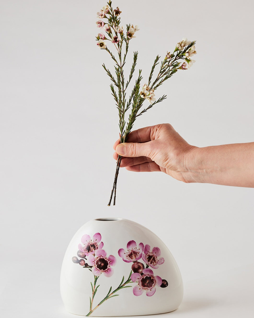 Angus & Celeste Macro Botanics Vase
