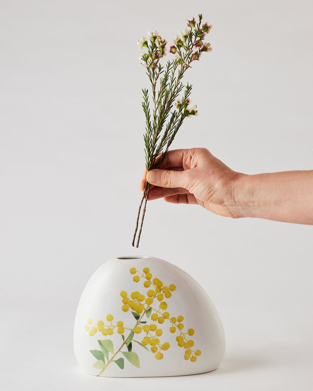 Angus & Celeste Macro Botanics Vase