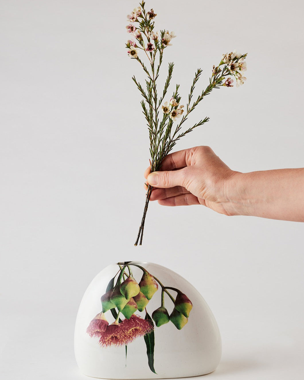 Angus & Celeste Macro Botanics Vase