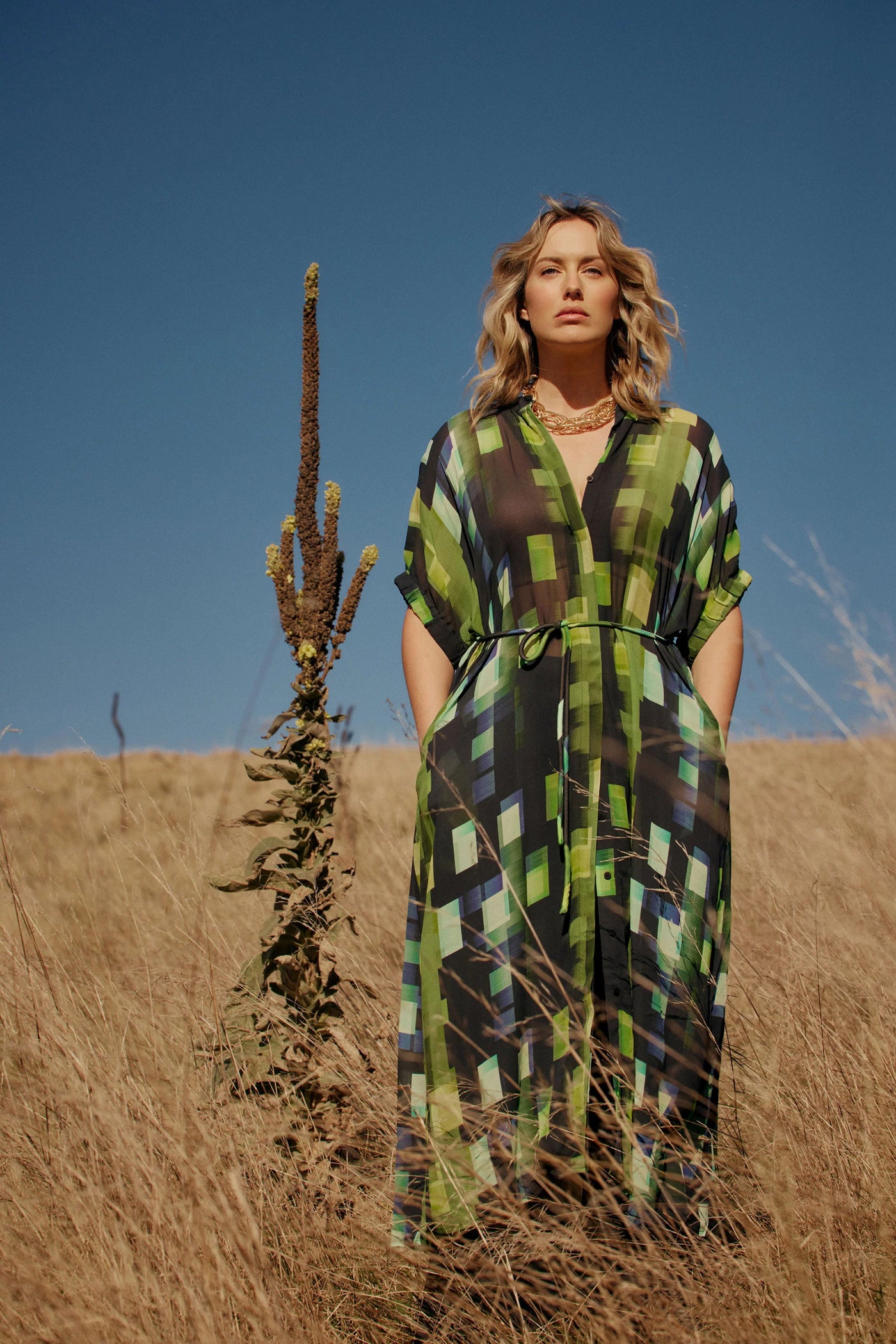 Indi Sheer Dress