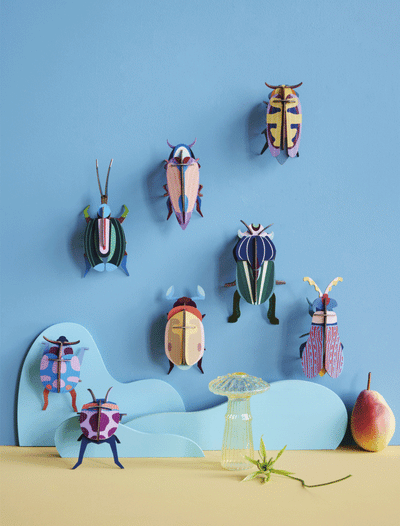 Studio Roof Wall Art Small/ Beetles