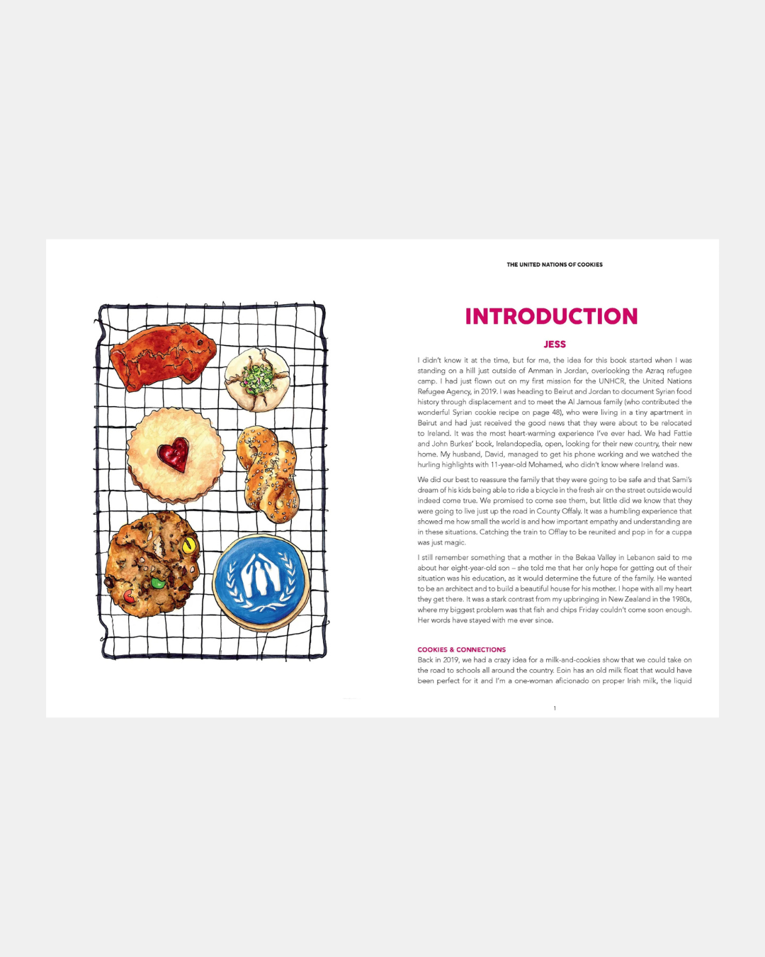 Soup Book