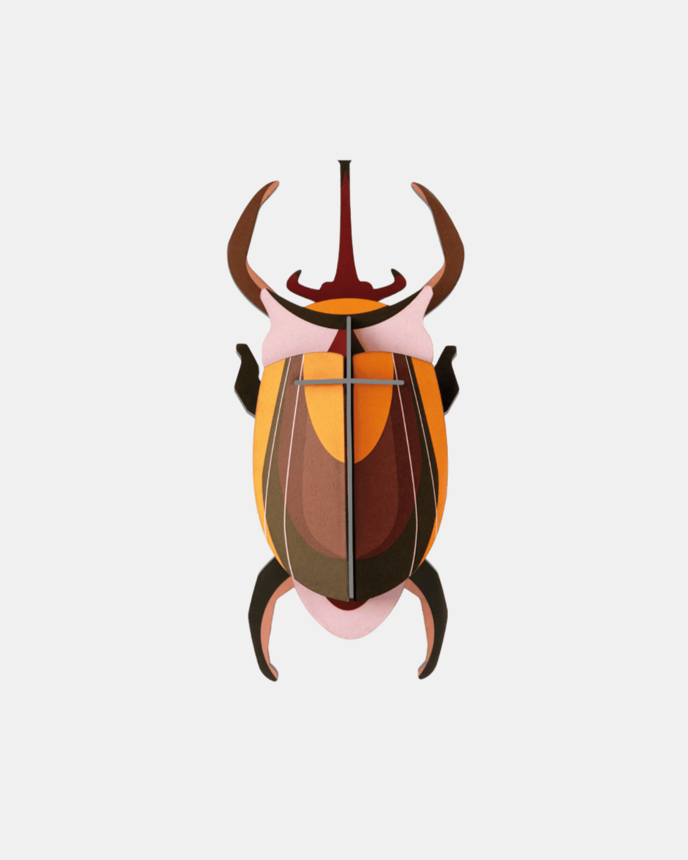 Studio Roof Wall Art B7 / Beetles