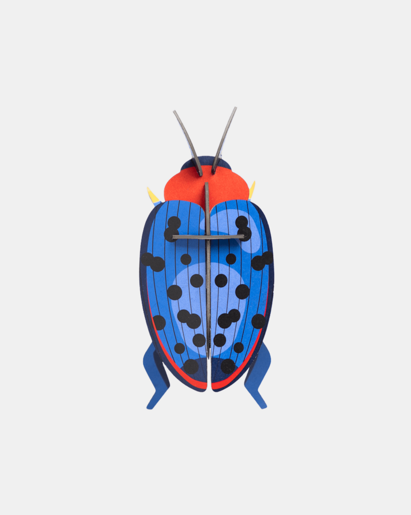 Studio Roof Wall Art B7 / Beetles