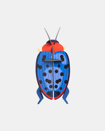 Studio Roof Wall Art B7 / Beetles