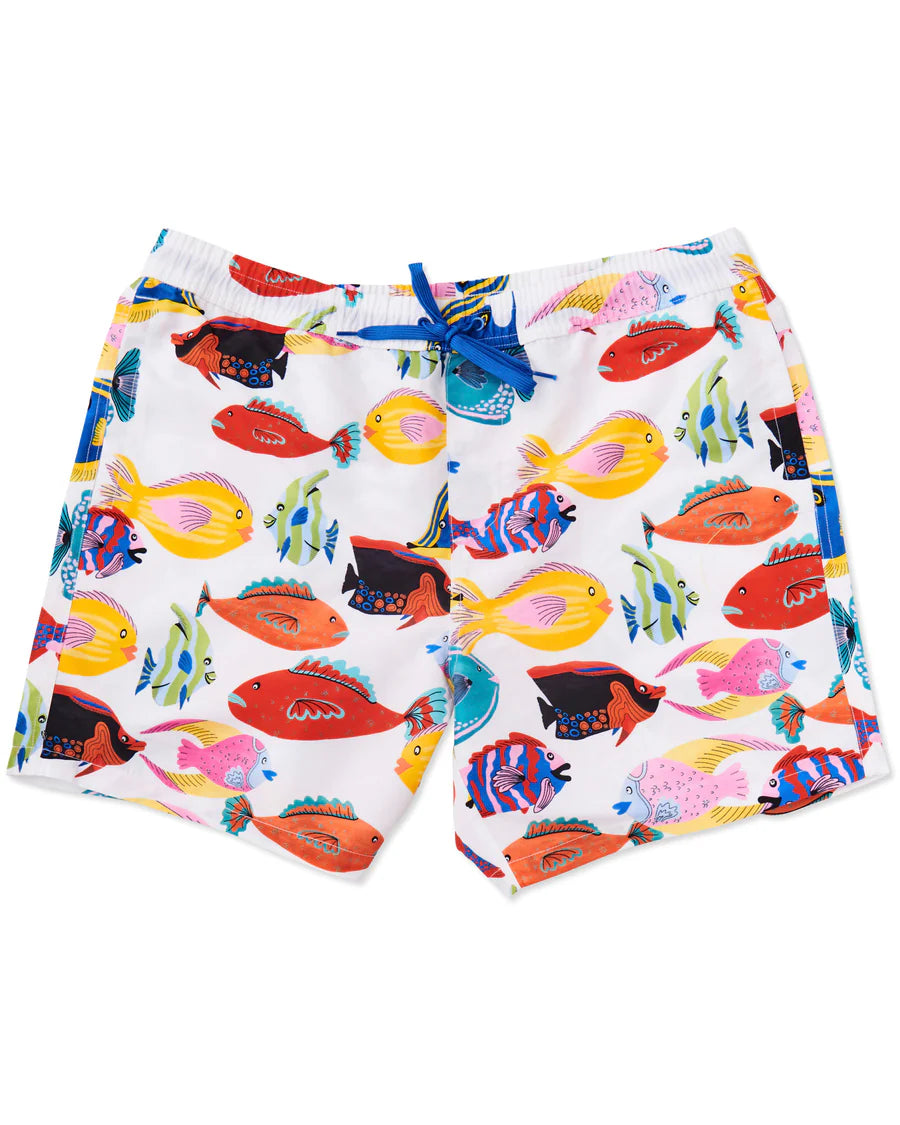 Kip & Co Men's Boardies