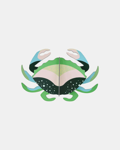 Studio Roof Wall Art B7 / Sea Creatures