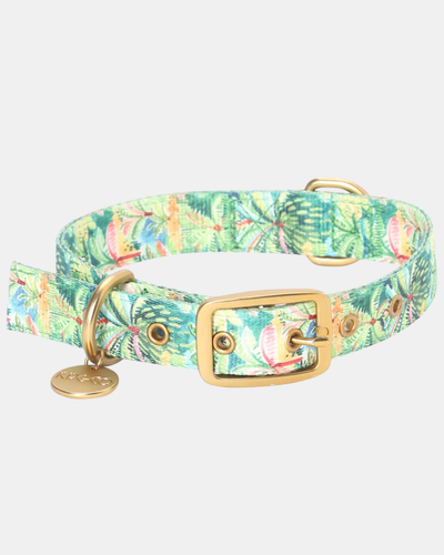 Kip & Co Dog Collar