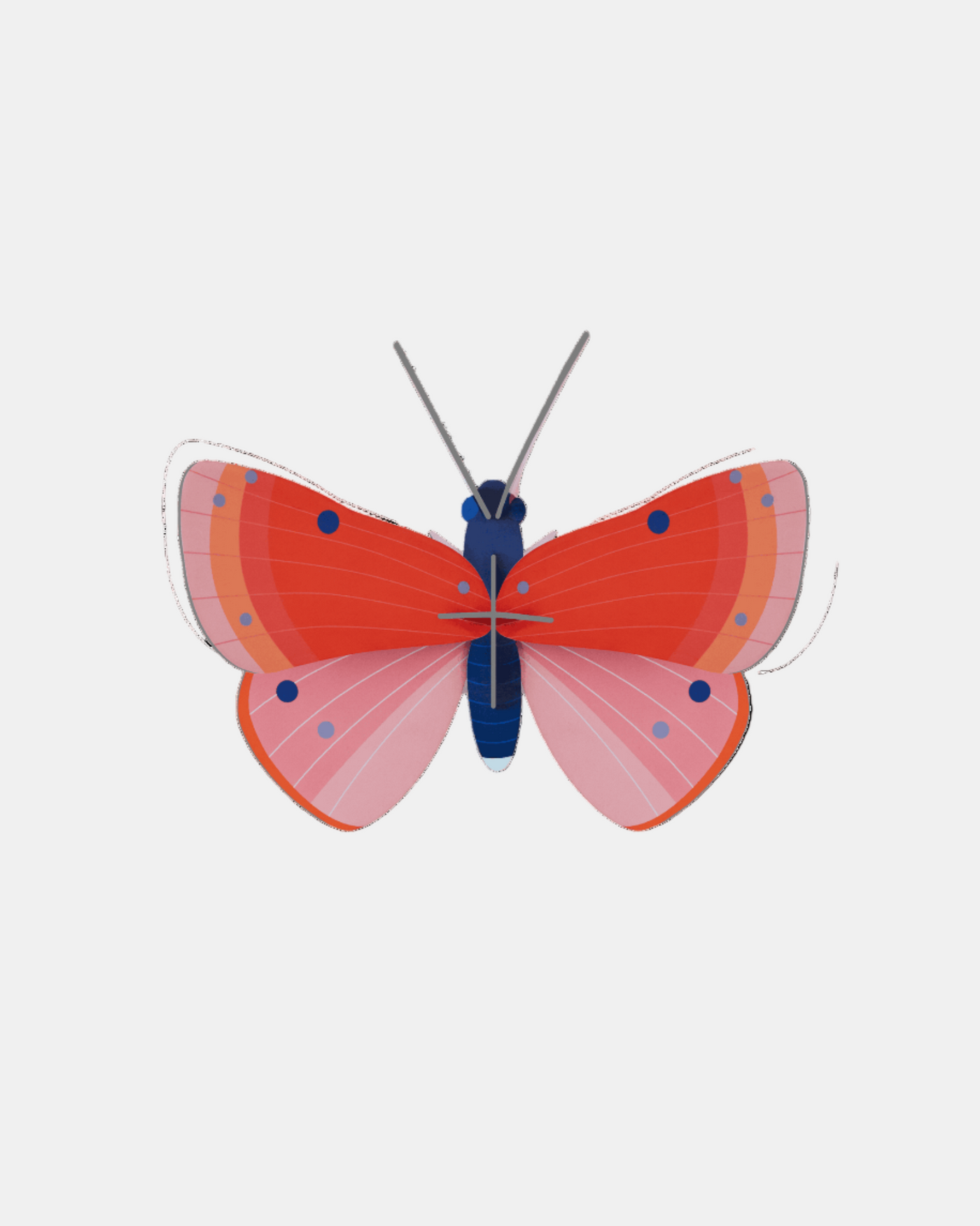 Studio Roof Wall Art B7 / Butterflies