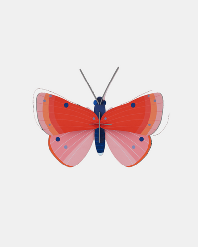 Studio Roof Wall Art B7 / Butterflies