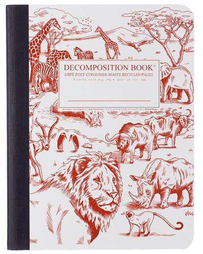 Decomposition Notebook