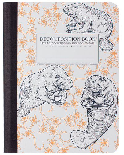 Decomposition Notebook